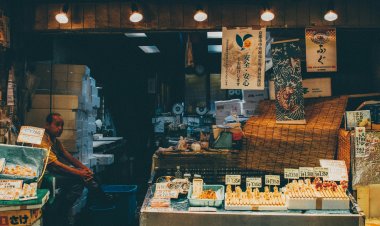 Navigating Market Volatility: Strategies for Investors