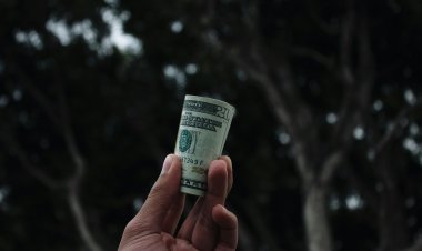 Budgeting Basics: Managing Your Money Wisely