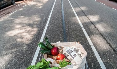 Sustainable Fashion: Balancing Style and Environmental Impact