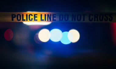 Roy S. Johnson: Ending Deadly Violence Requires Trigger Pullers to Tire of Dying