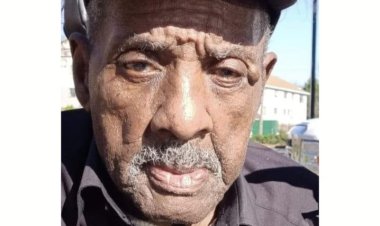 Elderly Man, 84, Succumbs to Injuries Weeks After Father's Day Hit-and-Run While Crossing Birmingham Road in Wheelchair: 'He Was Our Legacy'