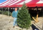 Beloved Alabama Christmas tree lot returns for one last season at its old, familiar spot