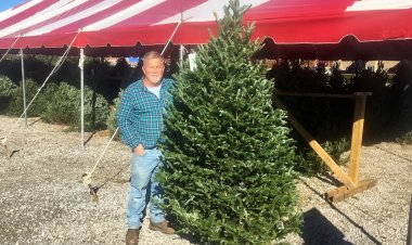 Beloved Alabama Christmas tree lot returns for one last season at its old, familiar spot