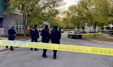 Man shot to death in ambush in Birmingham apartment parking lot, possibly by multiple shooters