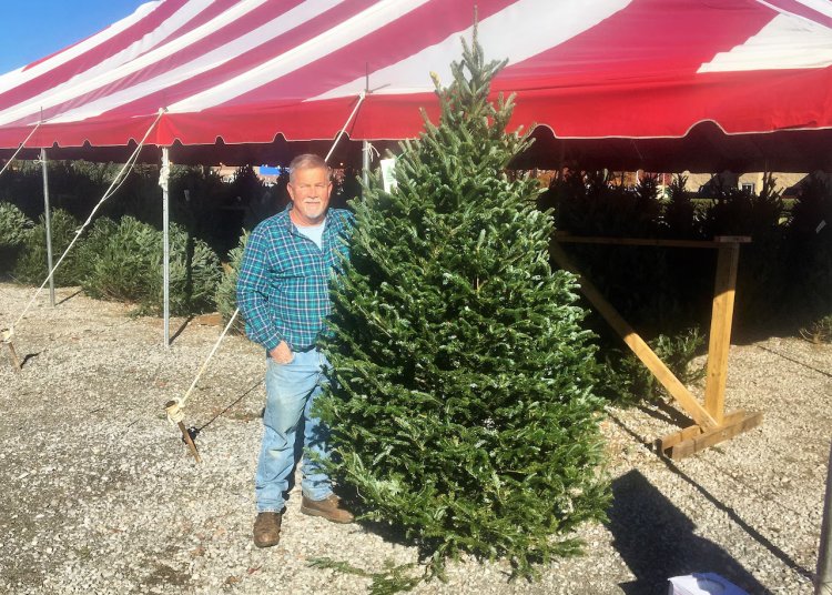 Beloved Alabama Christmas tree lot returns for one last season at its old, familiar spot