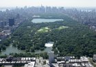 Rare Central Park Homicide: Friends Mourn Artist Slain in Iconic New York Landmark