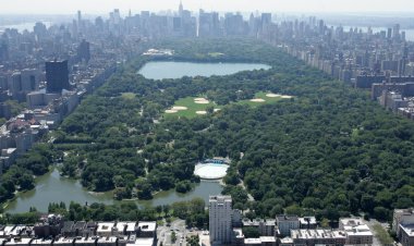 Rare Central Park Homicide: Friends Mourn Artist Slain in Iconic New York Landmark