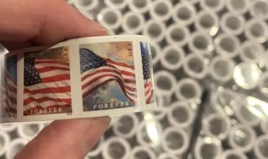 Feds Seize Website Linked to $126 Million Counterfeit Postage Scam; Pakistani National Charged