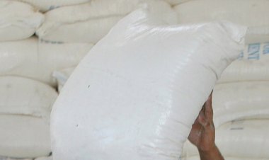 Audacious Courthouse Heist: $13M in Cocaine Evidence Replaced with Flour in Fiji