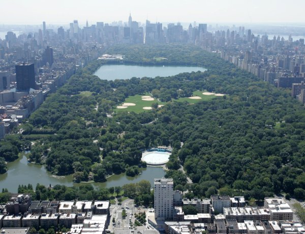 Rare Central Park Homicide: Friends Mourn Artist Slain in Iconic New York Landmark