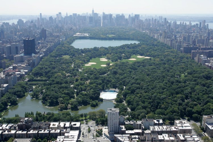 Rare Central Park Homicide: Friends Mourn Artist Slain in Iconic New York Landmark
