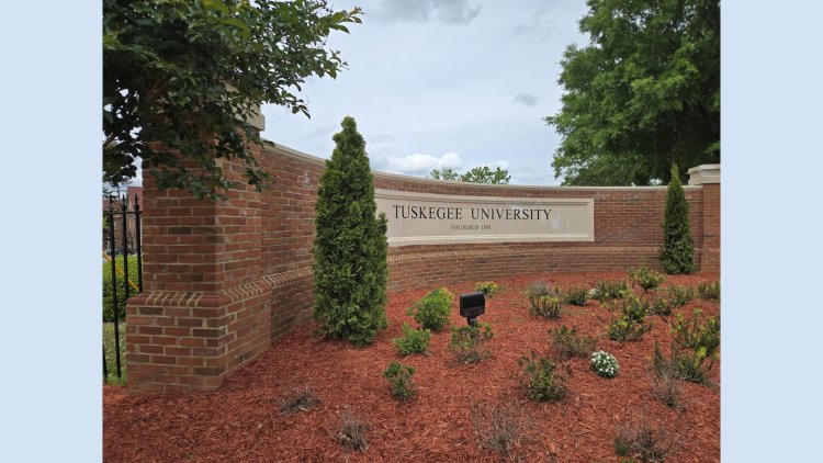 Alabama HBCUs Secure Landmark Funding to Boost Education and Healthcare Workforce