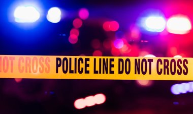 Donna Butler Identified as Victim in Fatal Thursday Night Pedestrian Accident in Cullman